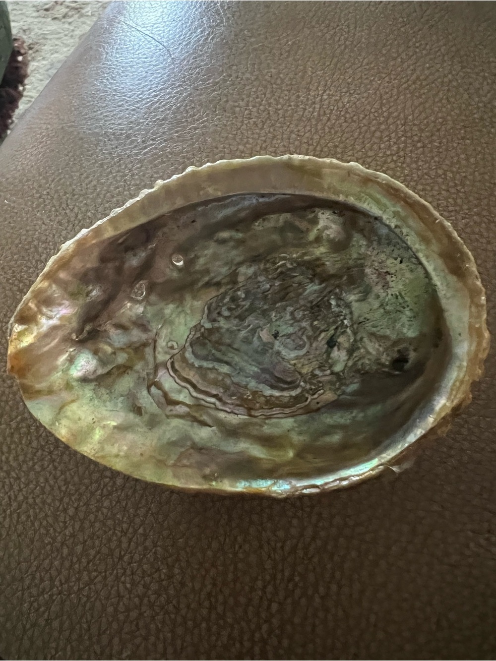 Nature Breeze Iridescent Abalone Shell Bowl - Green, Blue, Pink